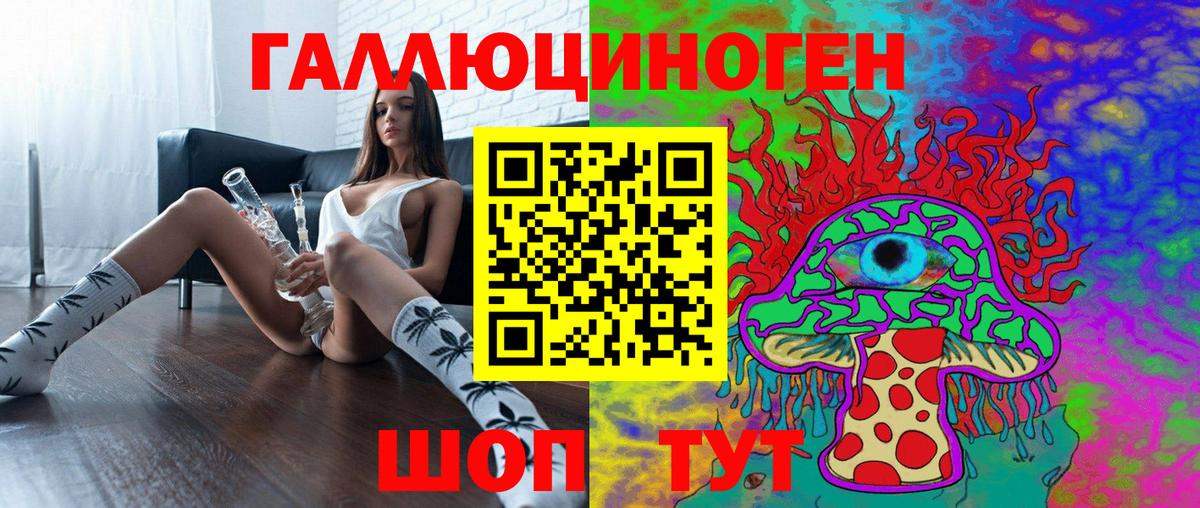 Галлюциногенные грибы Psilocybe Гурьевск