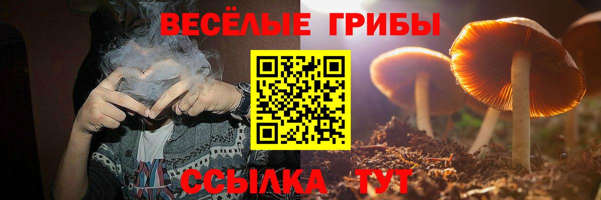 Псилоцибиновые грибы Psilocybe  Вход с VPN  Гурьевск 